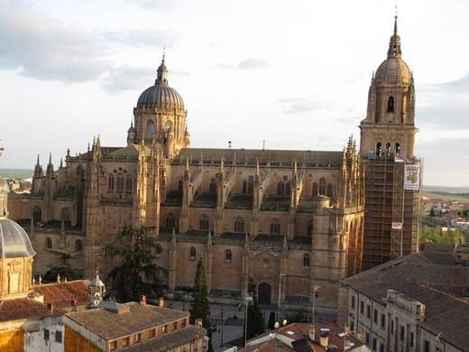 Iglesia Nueva. Catedral de Salamanca