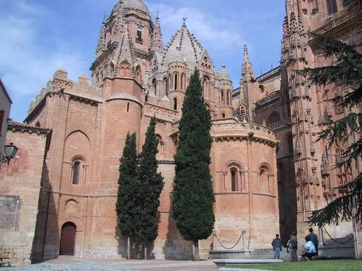 Iglesia Vieja. Catedral de Salamanca
