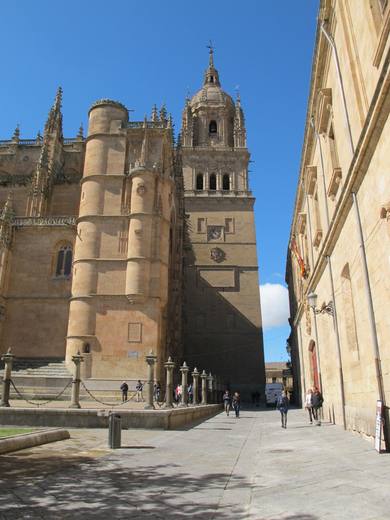 Torres. Catedral de Salamanca